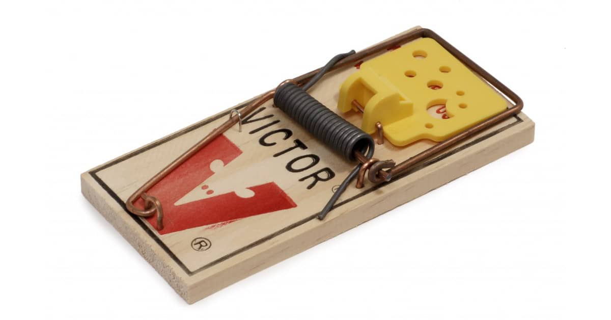 Mouse traps 2025 not working