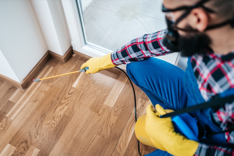 a man working with pest control products inside a house