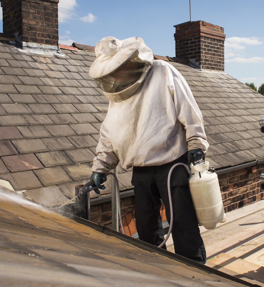 a man doing pest control on the roof of a house