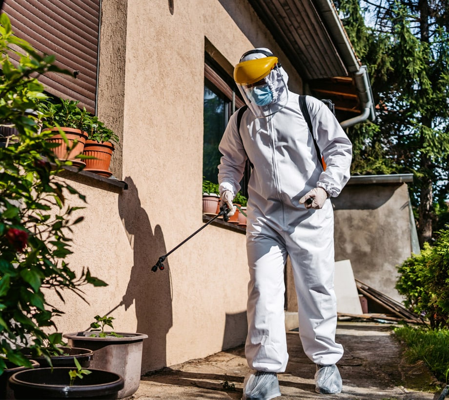 a man working with pest control products outside of a house