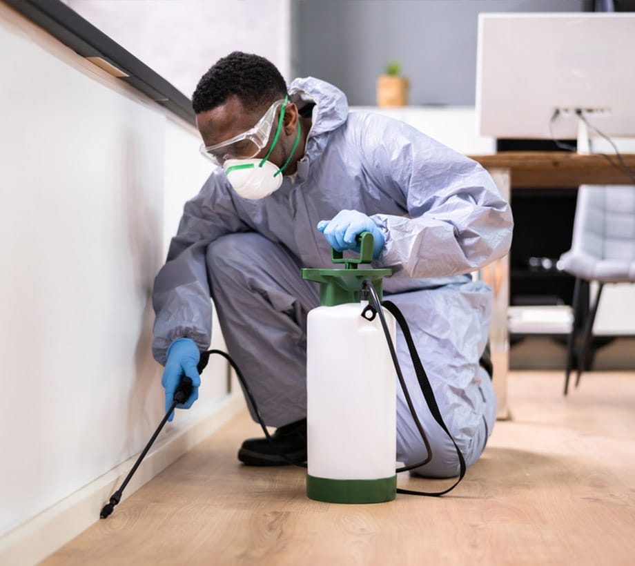 professional doing pest control at a home