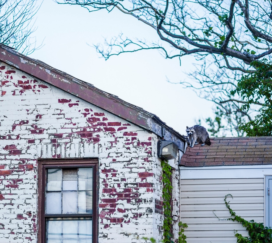 a house that has a sign on the side of a building