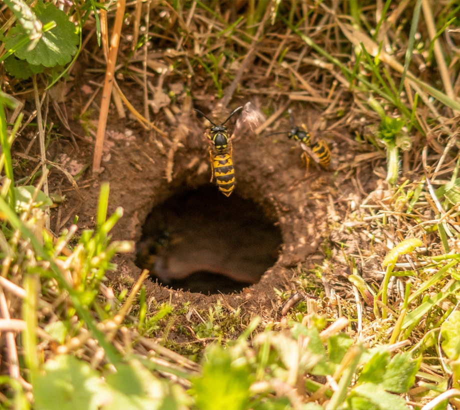 Yellowjackets,” and the Problem of Women Eating One Another