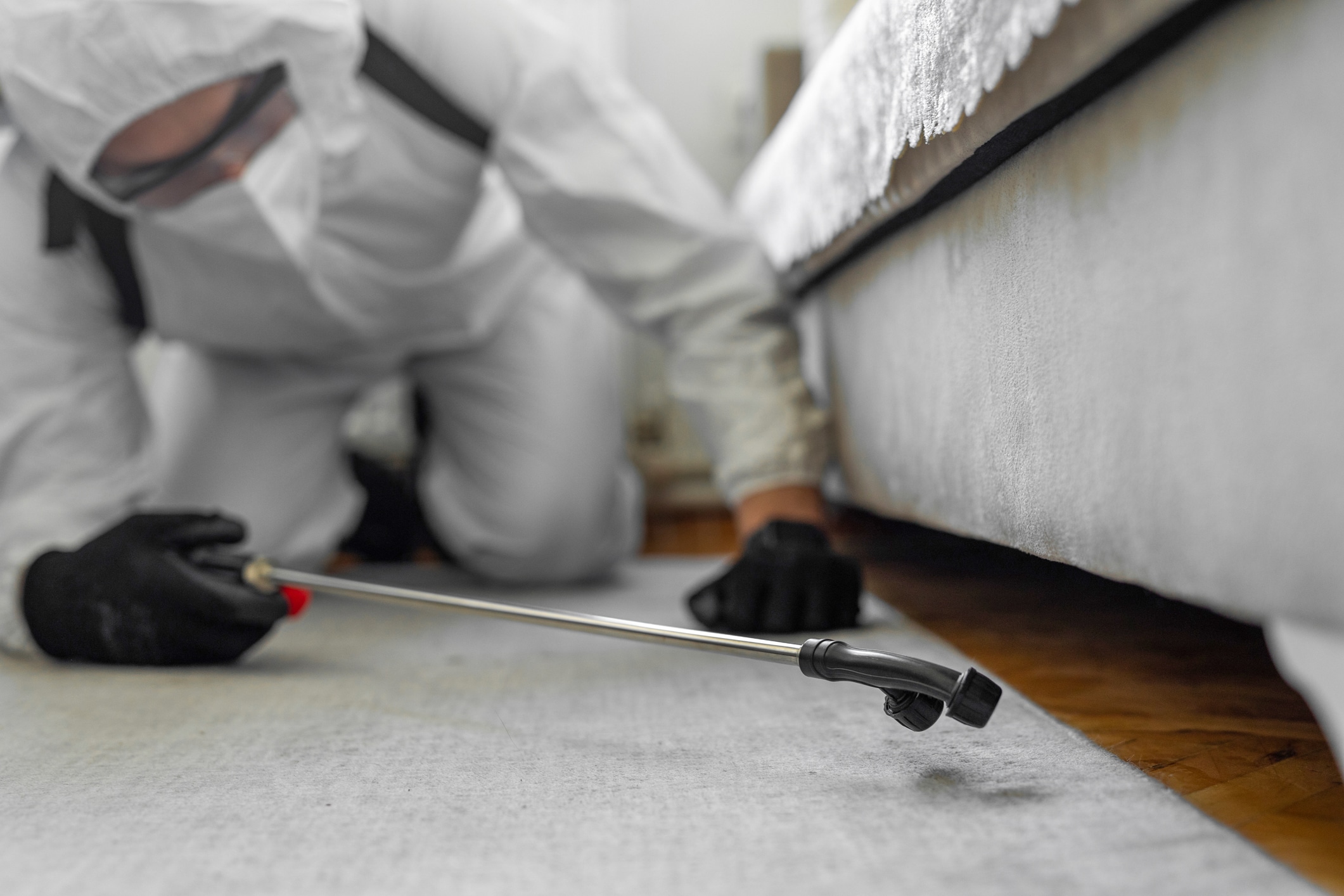 An image of a person in a white hazmat suit, holding the nozzle of a tank sprayer under the edge of a bed.