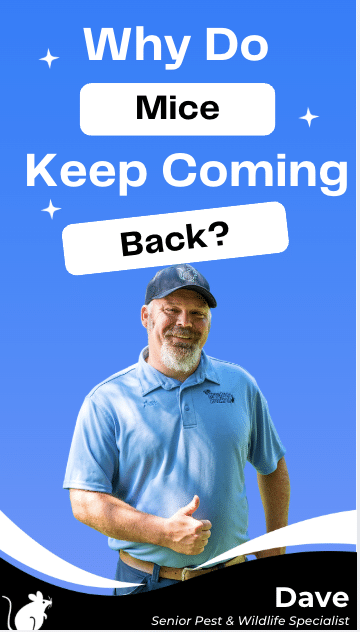 Pest control technician Dave has a thumb's up with the text why do mice keep coming back.